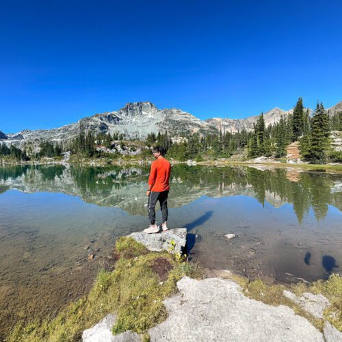 Graphic and web designer